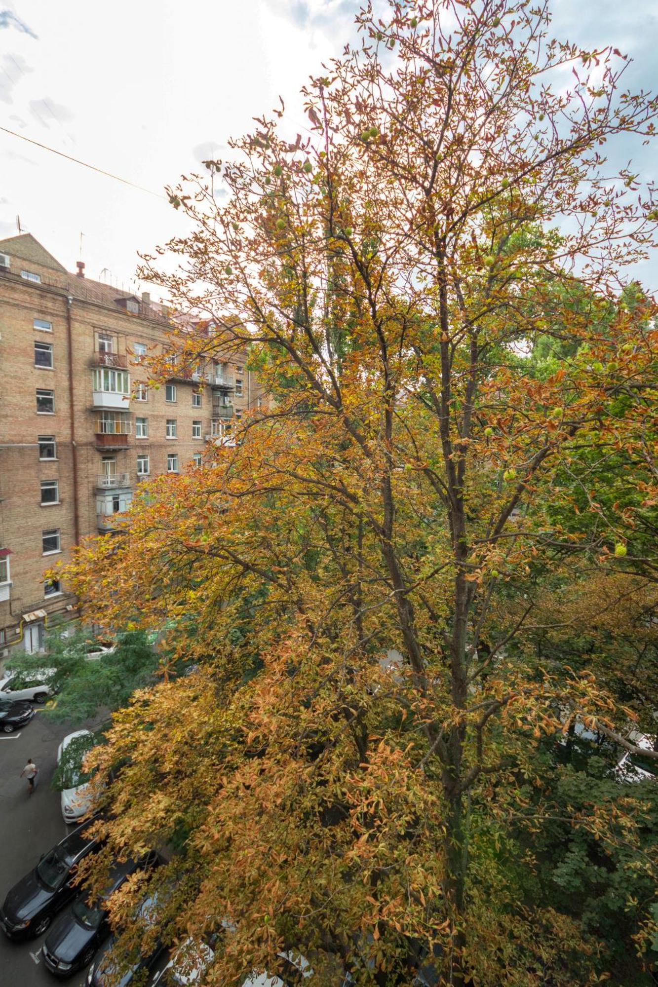 Central Apartments Maidan Area Kiev Dış mekan fotoğraf
